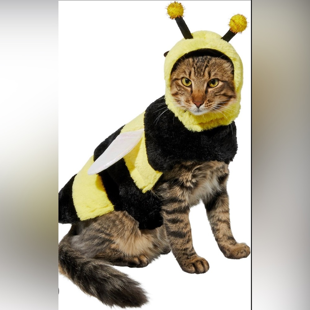 NWT Frisco Cat or Dog Bumblee Costume in Medium